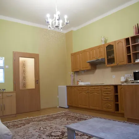 Family Apartment Kv Karlovy Vary Exterior photo